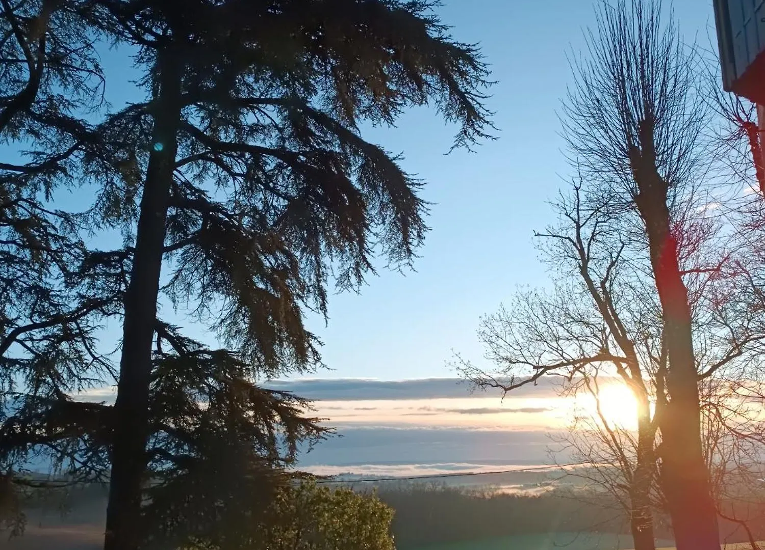Le Jardin Des Cedres Hotel Lavaur  Gasthuis