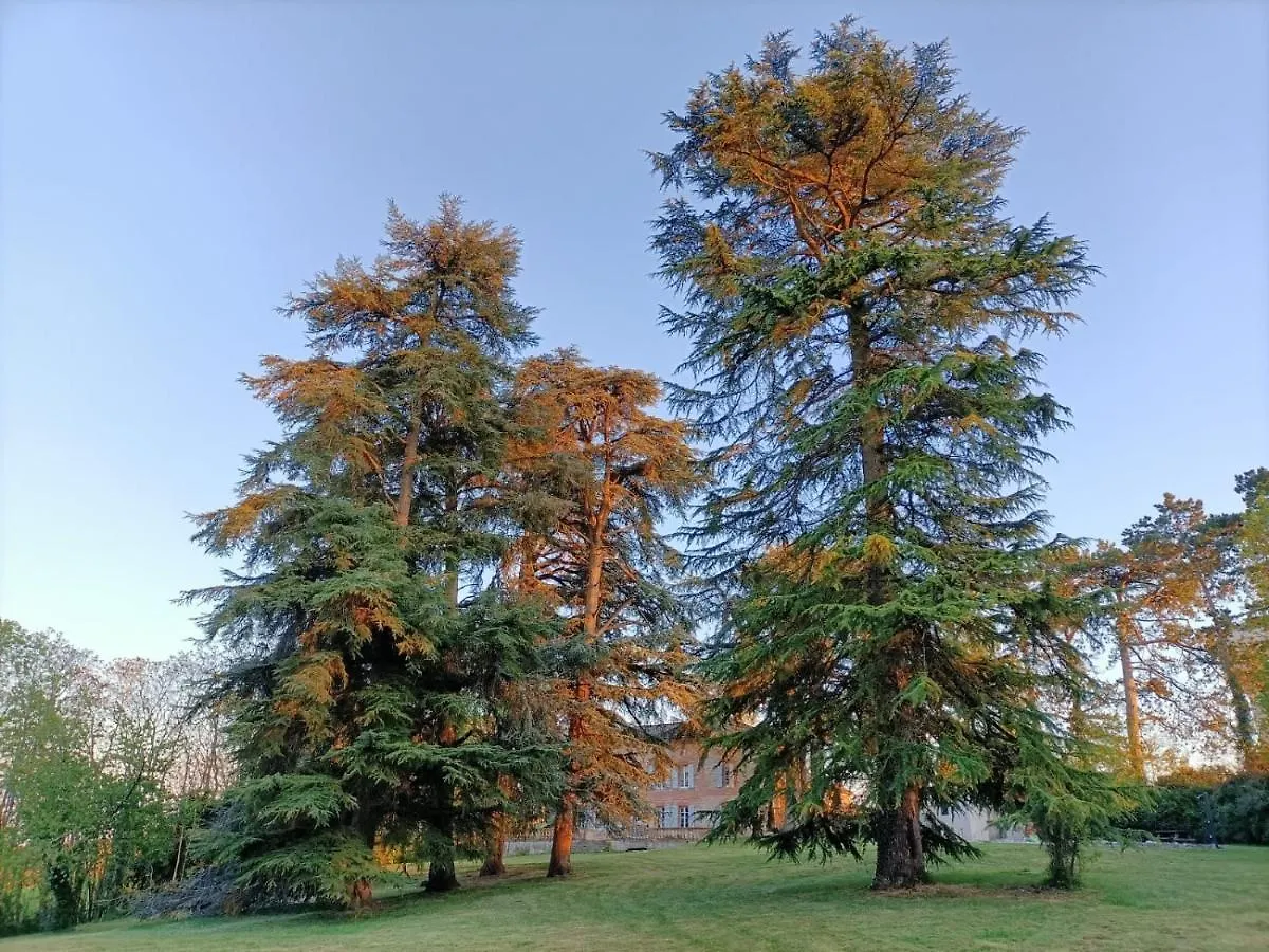 Le Jardin Des Cedres Ξενοδοχείο Lavaur  Γαλλία